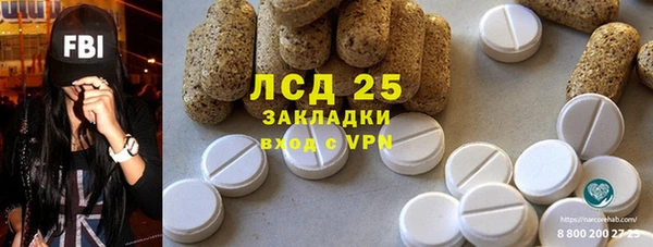 PSILOCYBIN Алзамай