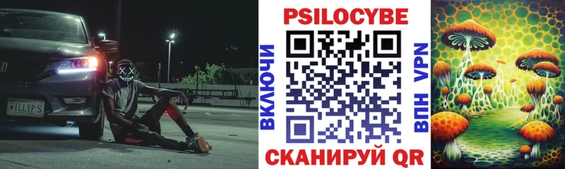 Псилоцибиновые грибы мицелий  где купить наркоту  Кудымкар 
